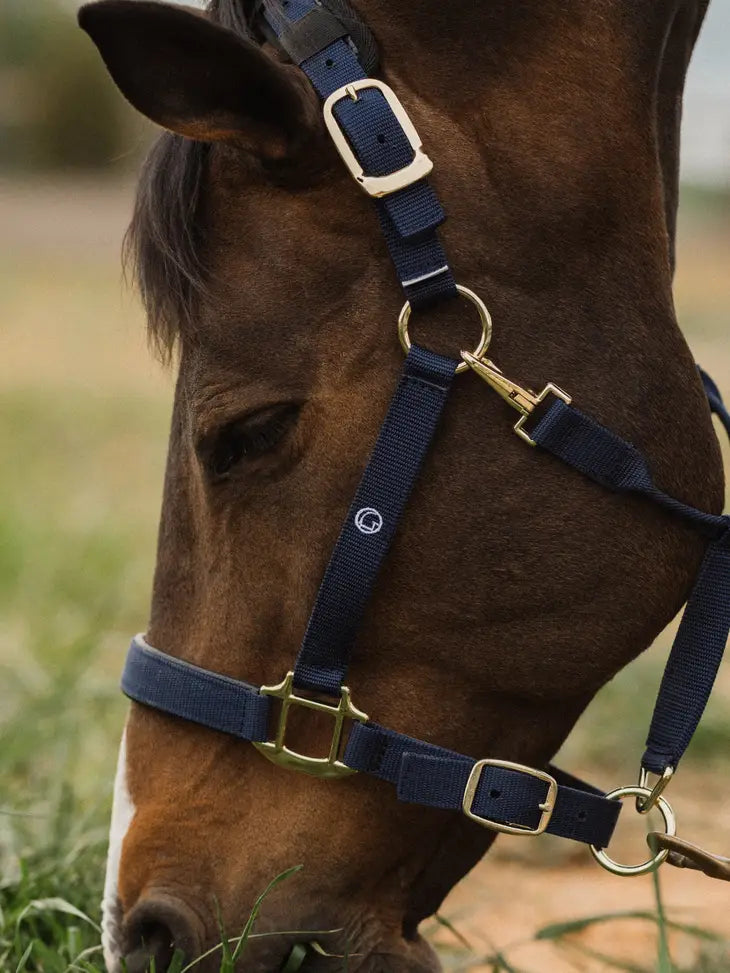 Loushia Saddle Pad Set with Halter