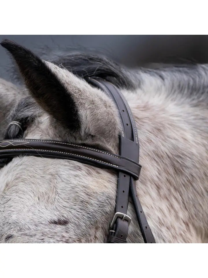 Thornberry - Fancy Raised Padded Leather Hunter Horse Bridle