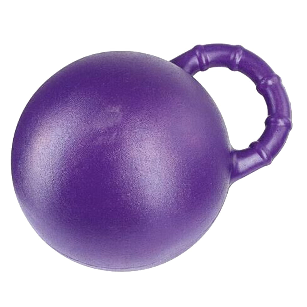 Equine Entertainment: Horse Toy Ball with Handle