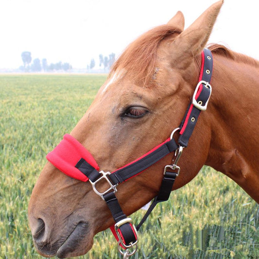 Comfort Fit: Adjustable Nylon Horse Halter